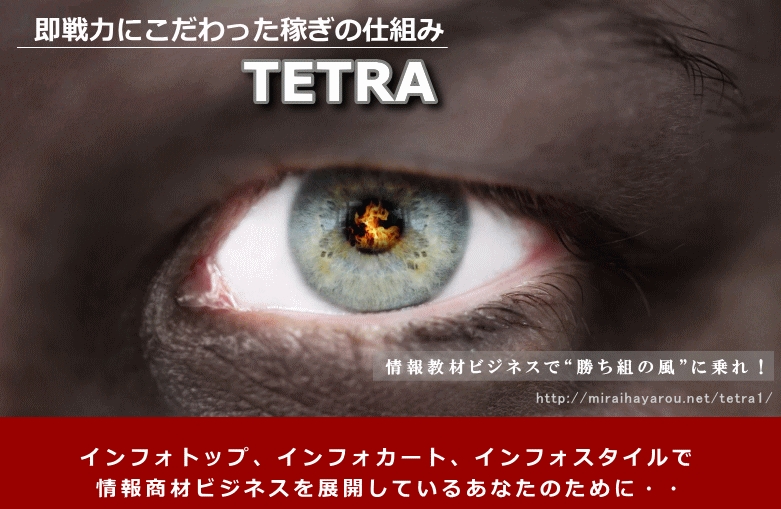  ���r�W�l�X����̓p�b�N�yTETRA�z